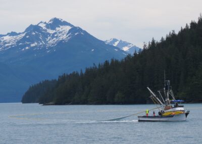 Prince William Sound Kelp Mariculture Development for Habitat Restoration and Local Economy
