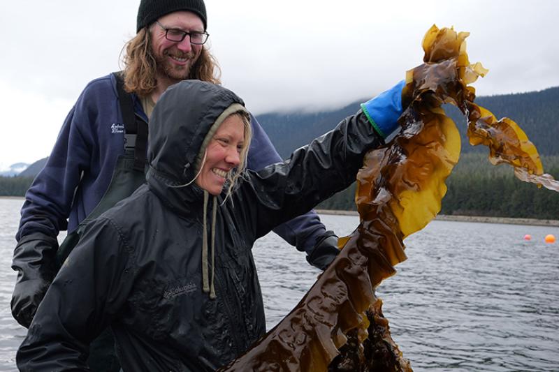 NOAA Fisheries releases its 2023 Alaska Aquaculture Accomplishments Report